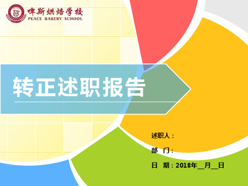 转正述职报告PPT模板