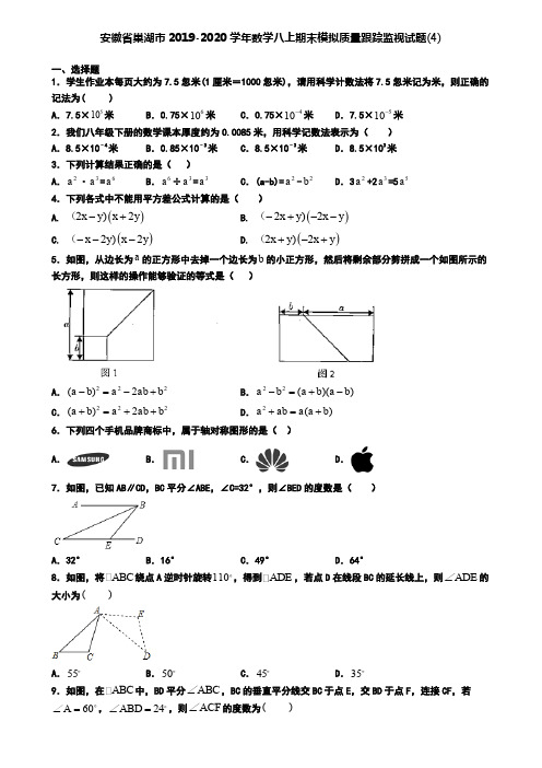 安徽省巢湖市2019-2020学年数学八上期末模拟质量跟踪监视试题(4)