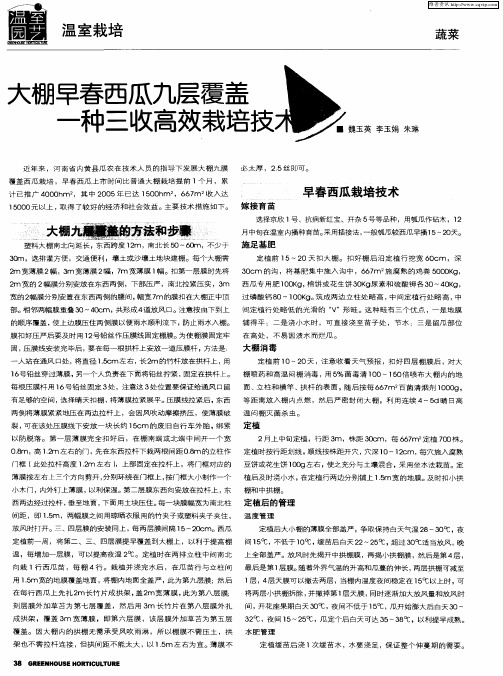 大棚早春西瓜九层覆盖一种三收高效栽培技术