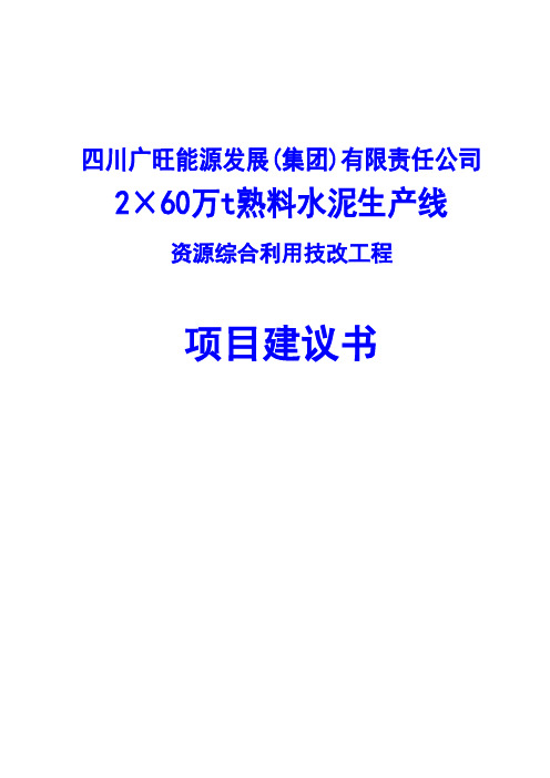 2×60万t熟料水泥生产线资源综合利用技改工程项目建议书