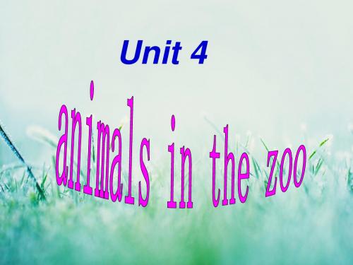 上海教育版英语三年级下册unit 4《animals in the zoo》课件