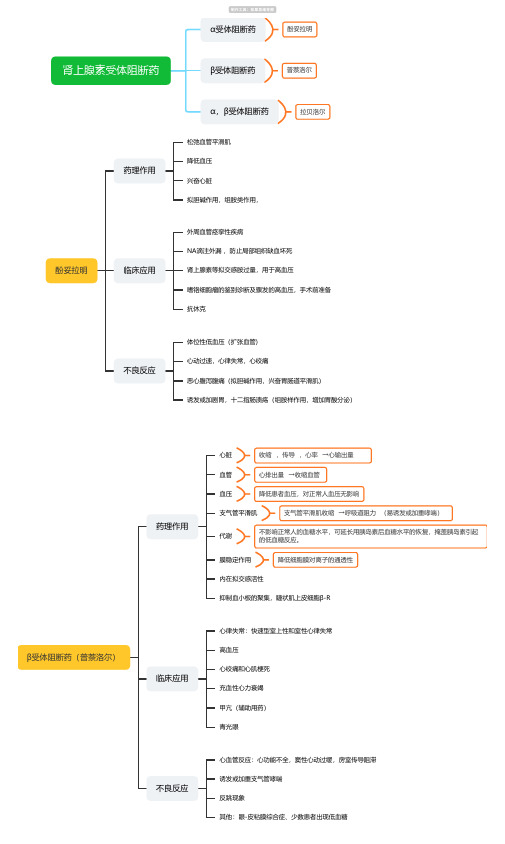肾上腺素受体阻断药思维导图