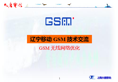 GSM基本原理-GSM无线网络优化精品文档