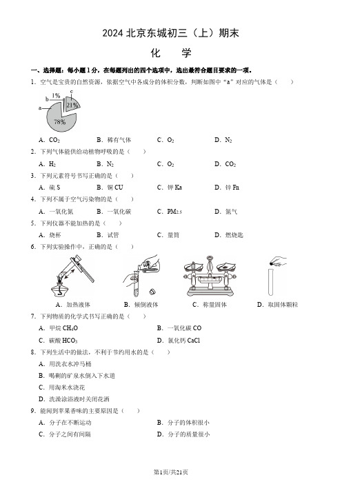 2024北京东城初三(上)期末化学(教师版)