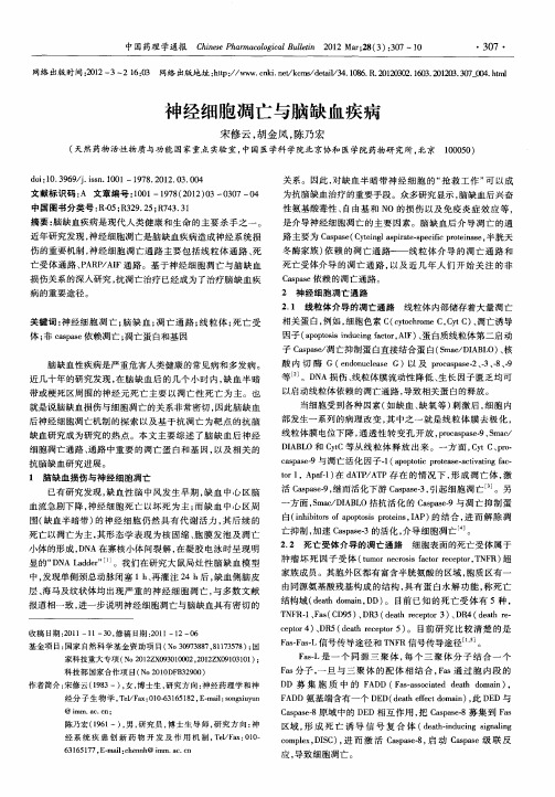 神经细胞凋亡与脑缺血疾病