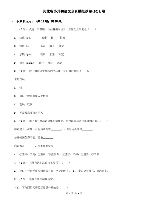 河北省小升初语文全真模拟试卷(10)A卷