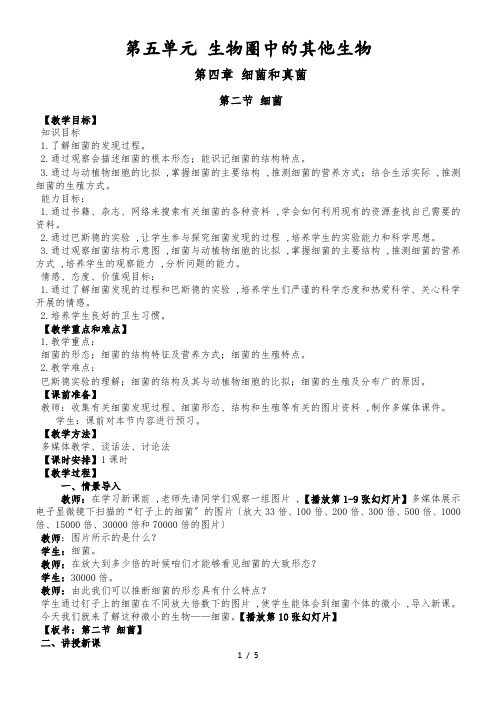 人教版初中生物课标版八年级上册第五单元第四章第二节 细菌教案