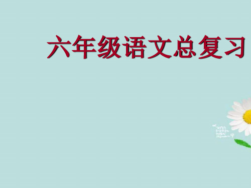 【小升初专题】小升初语文复习重点PPT课件