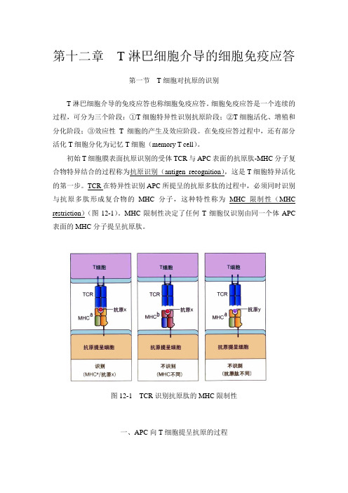 第十二章T淋巴细胞介导的细胞免疫应答