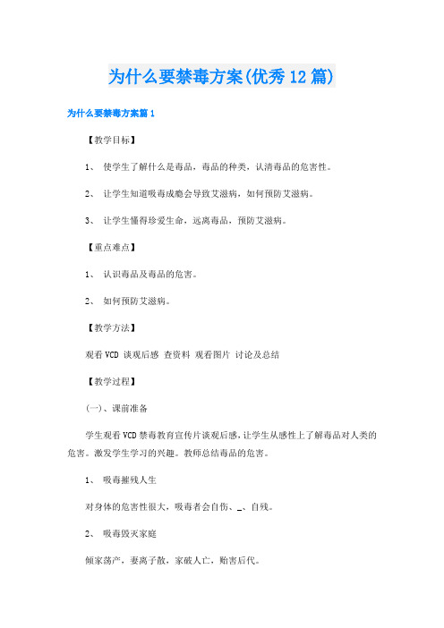 为什么要禁毒方案(优秀12篇)