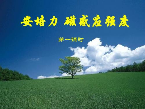 安培力 磁感应强度全国物理教师素养大赛一等奖课件