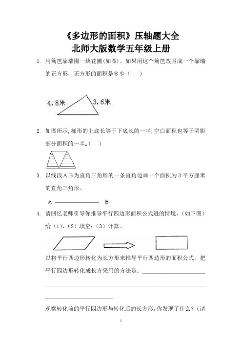 《多边形的面积》压轴题大全  北师大版数学五年级上册 (1)