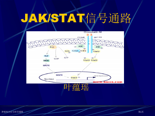 肿瘤相关信号转导通路专家讲座