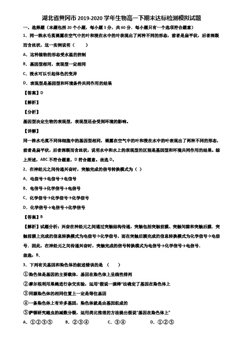 湖北省黄冈市2019-2020学年生物高一下期末达标检测模拟试题含解析