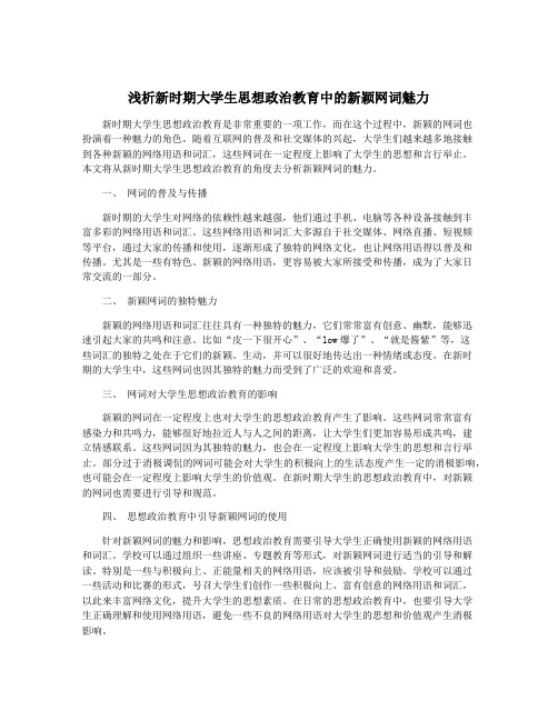 浅析新时期大学生思想政治教育中的新颖网词魅力