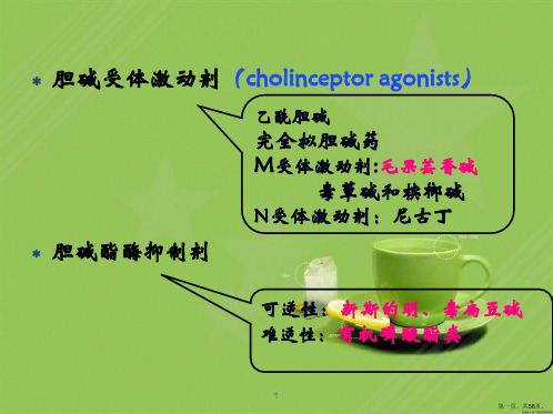 拟胆碱药和抗胆碱药