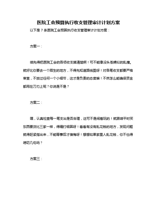 医院工会预算执行收支管理审计计划方案