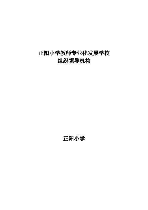 正阳小学教师专业化发展学校