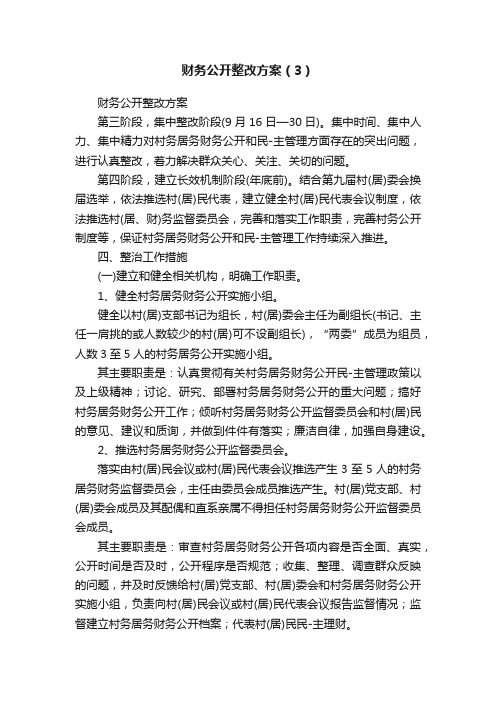 财务公开整改方案（3）