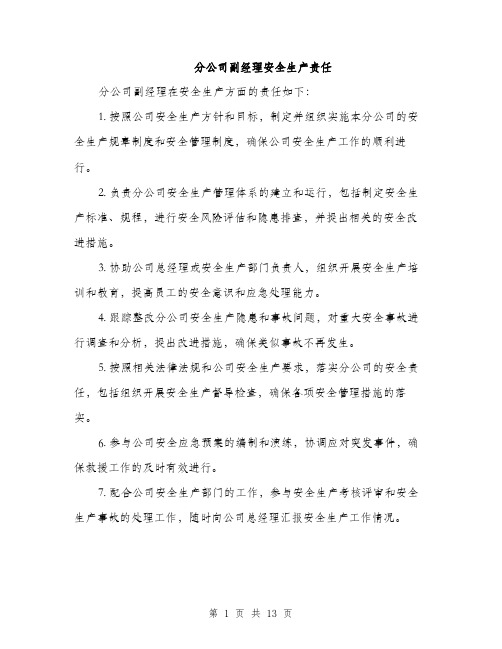 分公司副经理安全生产责任（5篇）