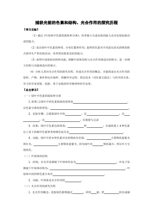 学案10：5.4.1 捕获光能的色素和结构、光合作用的探究历程