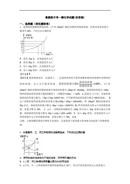 鲁教版中考一模化学试题(含答案)