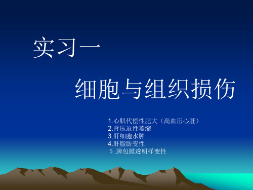 病理学大体标本