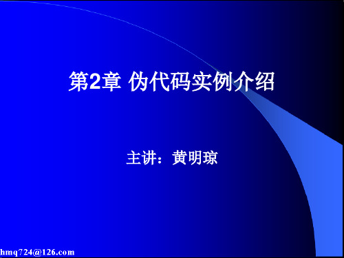 伪代码实例介绍