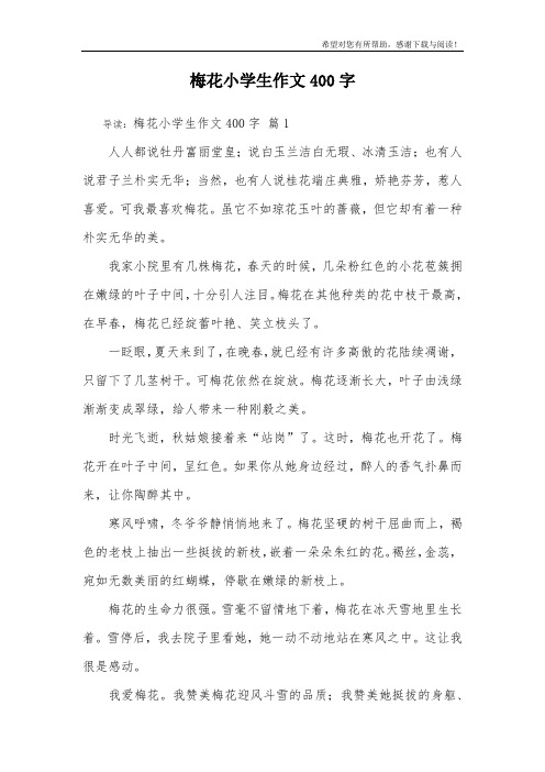梅花小学生作文400字_84