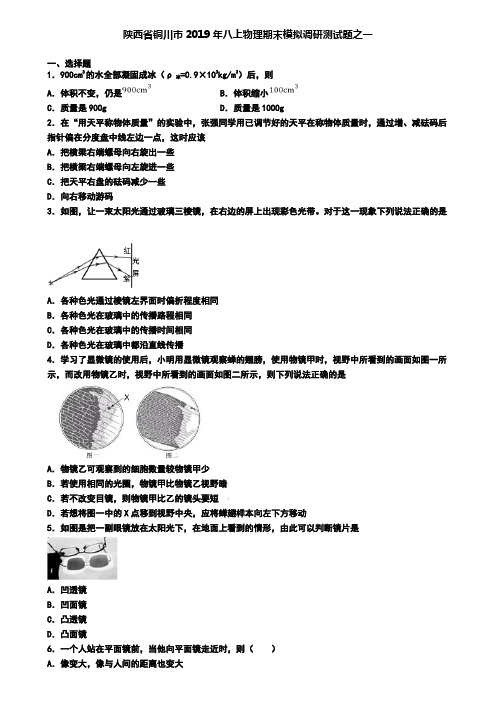 陕西省铜川市2019年八上物理期末模拟调研测试题之一