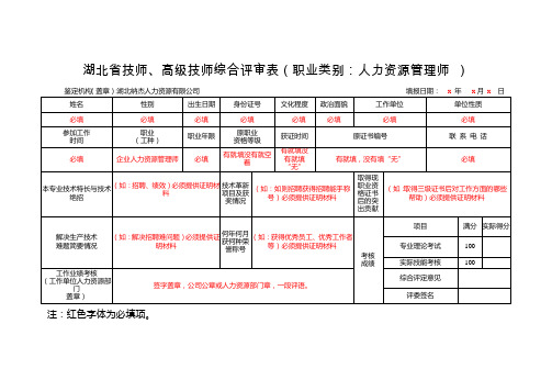 综合评审表(填写模板)