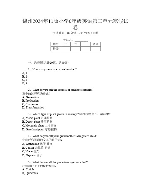 锦州2024年11版小学6年级第十三次英语第二单元寒假试卷