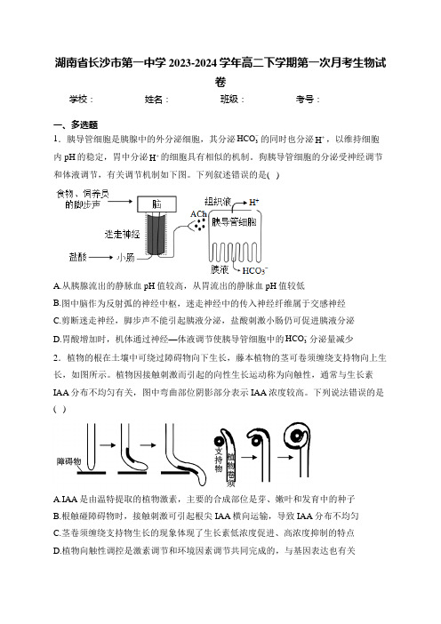 湖南省长沙市第一中学2023-2024学年高二下学期第一次月考生物试卷(含答案)