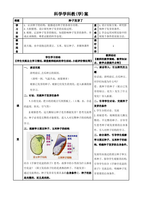 《种子发芽了》教案