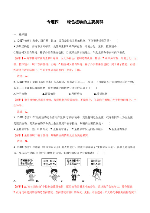 2020中考生物真题分类汇编(山东省)专题04 绿色植物的主要类群(解析版)