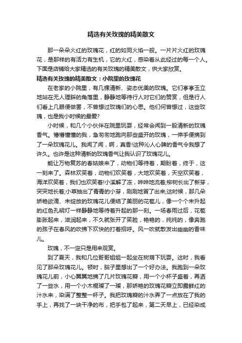 精选有关玫瑰的精美散文