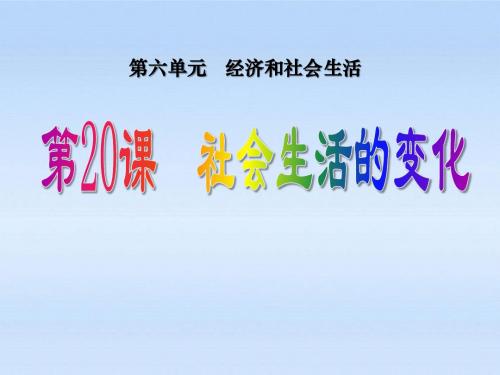 《社会生活的变化》经济和社会生活PPT课件 (共69张PPT)