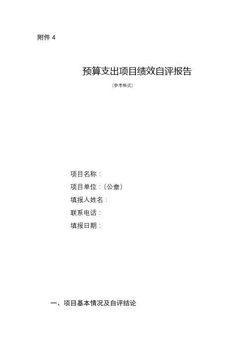 预算支出项目绩效自评报告【模板】