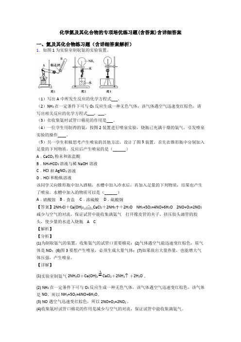 化学氮及其化合物的专项培优练习题(含答案)含详细答案