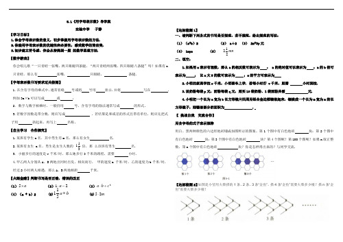 用字母表示数导学案