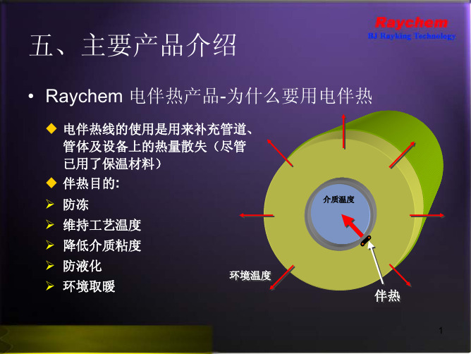 电伴热-瑞侃raychem