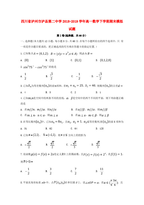四川省泸州市泸县第二中学2018_2019学年高一数学下学期期末模拟试题