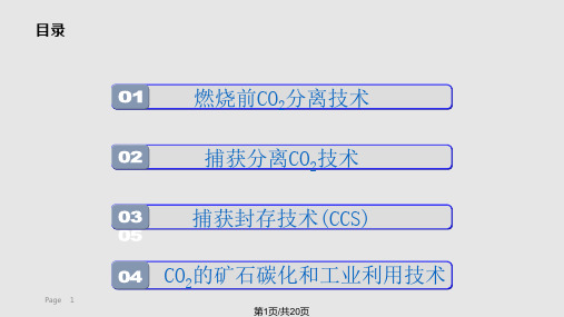 二氧化碳减排技术课件PPT教学