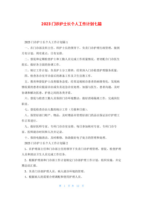 2023门诊护士长个人工作计划七篇