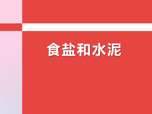 2021年《食盐和水泥》PPT文档