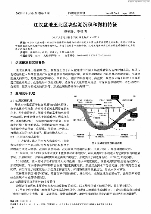 江汉盆地王北区块盐湖沉积和微相特征