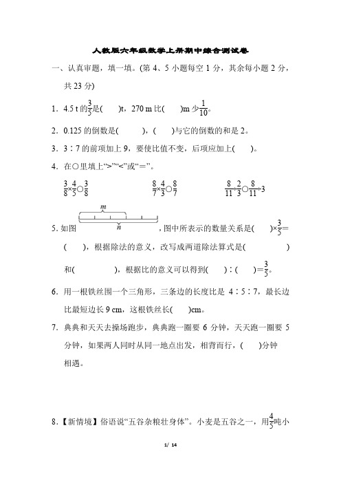 人教版六年级数学上册期中综合测试卷含答案