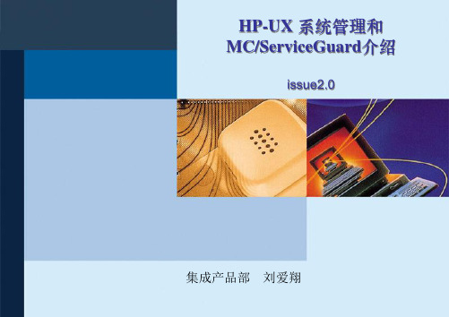 HP 操作系统和MC ServiceGuard 培训