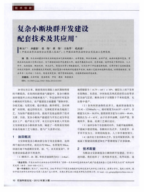 复杂小断块群开发建设配套技术及其应用