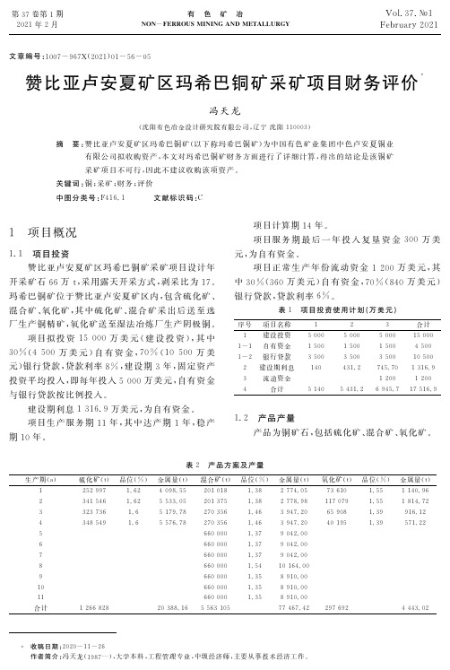 赞比亚卢安夏矿区玛希巴铜矿采矿项目财务评价